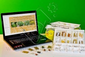 Коллекция   натурально-интерактивная "Плоды сельскохозяйственных растений"
