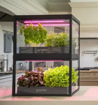 Настольная цифровица Greenbar XX1 для демонстрационных и учебных задач