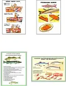Плакаты ПРОФТЕХ "Разделка и обработка рыбной продукции" (8 пл, винил, 70х100)