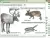 Интерактивное учебное пособие "Наглядная биология. 7 класс. Животные"
