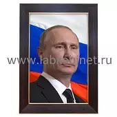 Портрет президента Владимира Путина, размер 35 х 50, (размер фото 30 x 45)