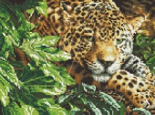 Алмазная   мозаика EF 219 Зеленоглазый леопард 30*40