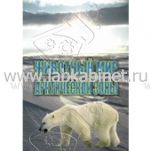 Видеофильм Животный мир Арктической зоны